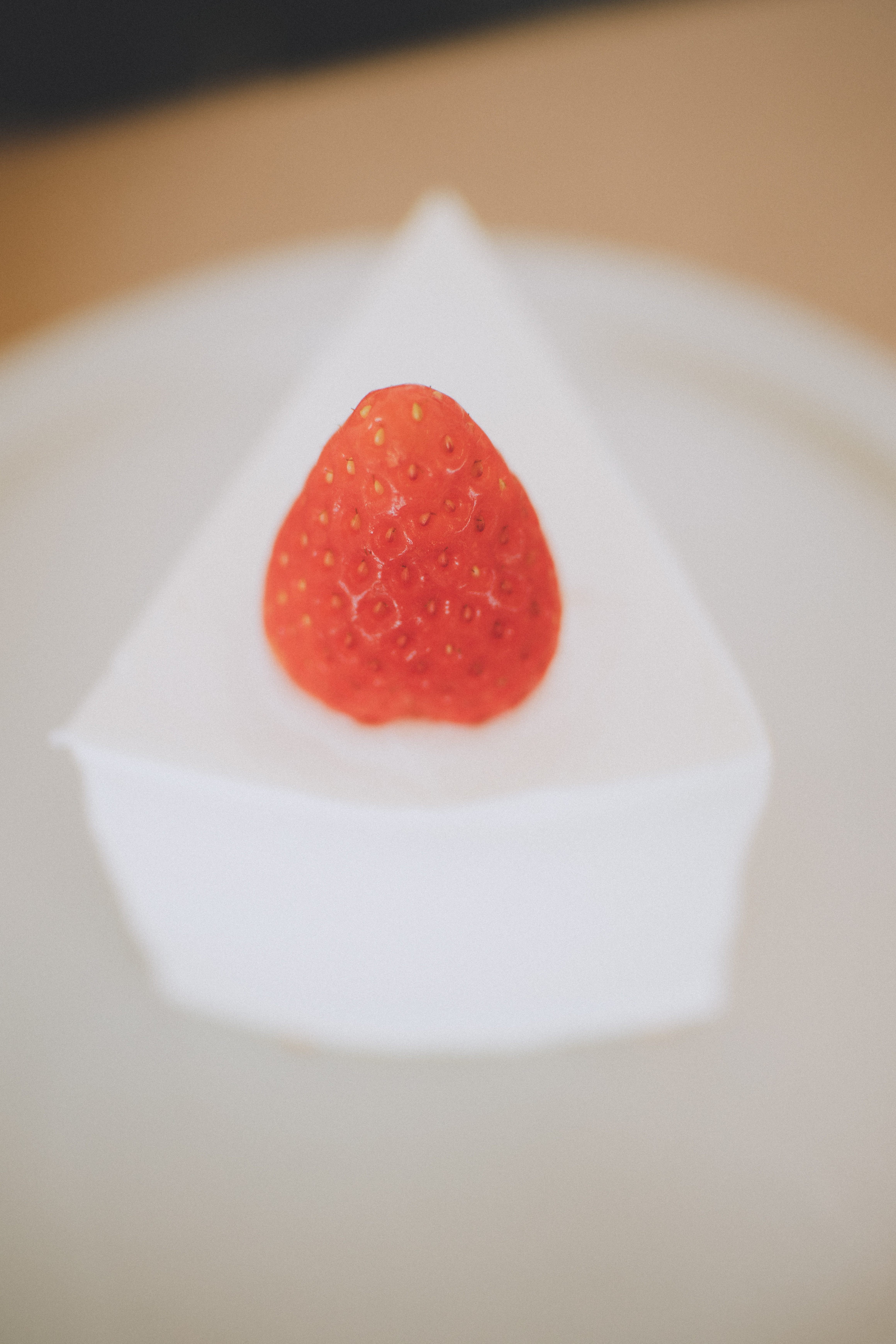 炭化したパンと、それを見た老夫婦の感想（ポンペイ展行ったよの日記