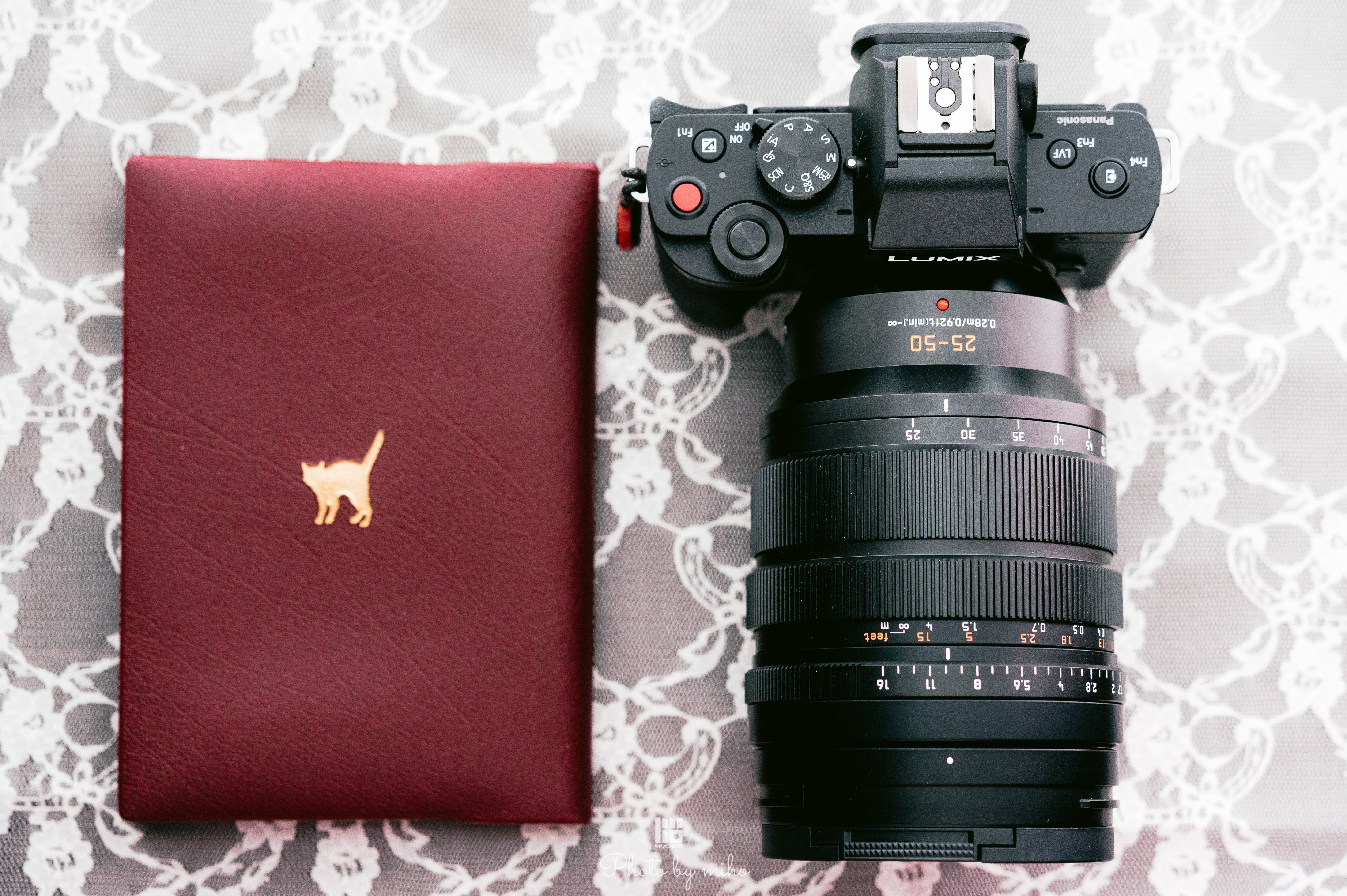 LUMIX G100とゆく│静岡の街を、4本のLEICA DGレンズで撮る|miho LUMIX G100とゆく│静岡の街を、4本のLEICA DGレンズで撮る|miho