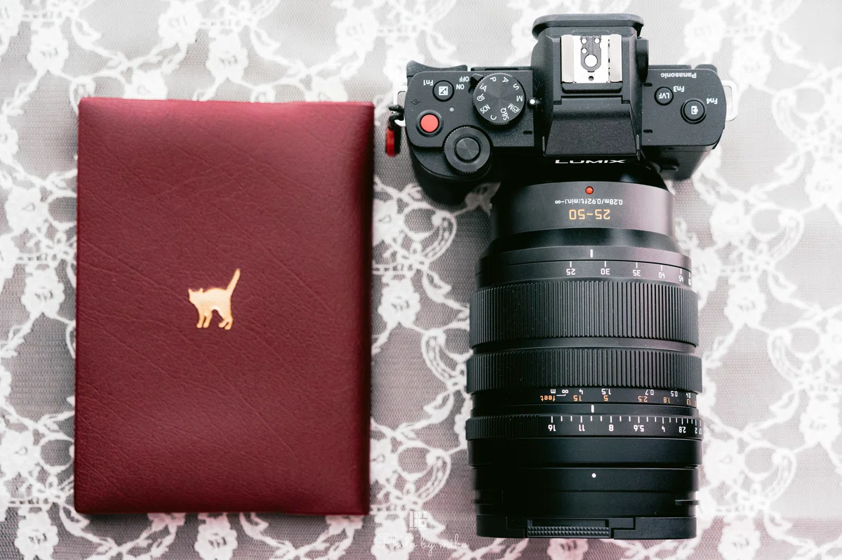 LUMIX G100とゆく│静岡の街を、4本のLEICA DGレンズで撮る｜miho