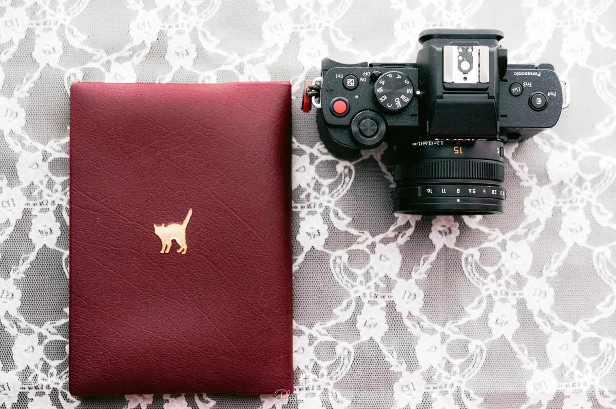 LUMIX G100とゆく│静岡の街を、4本のLEICA DGレンズで撮る｜miho