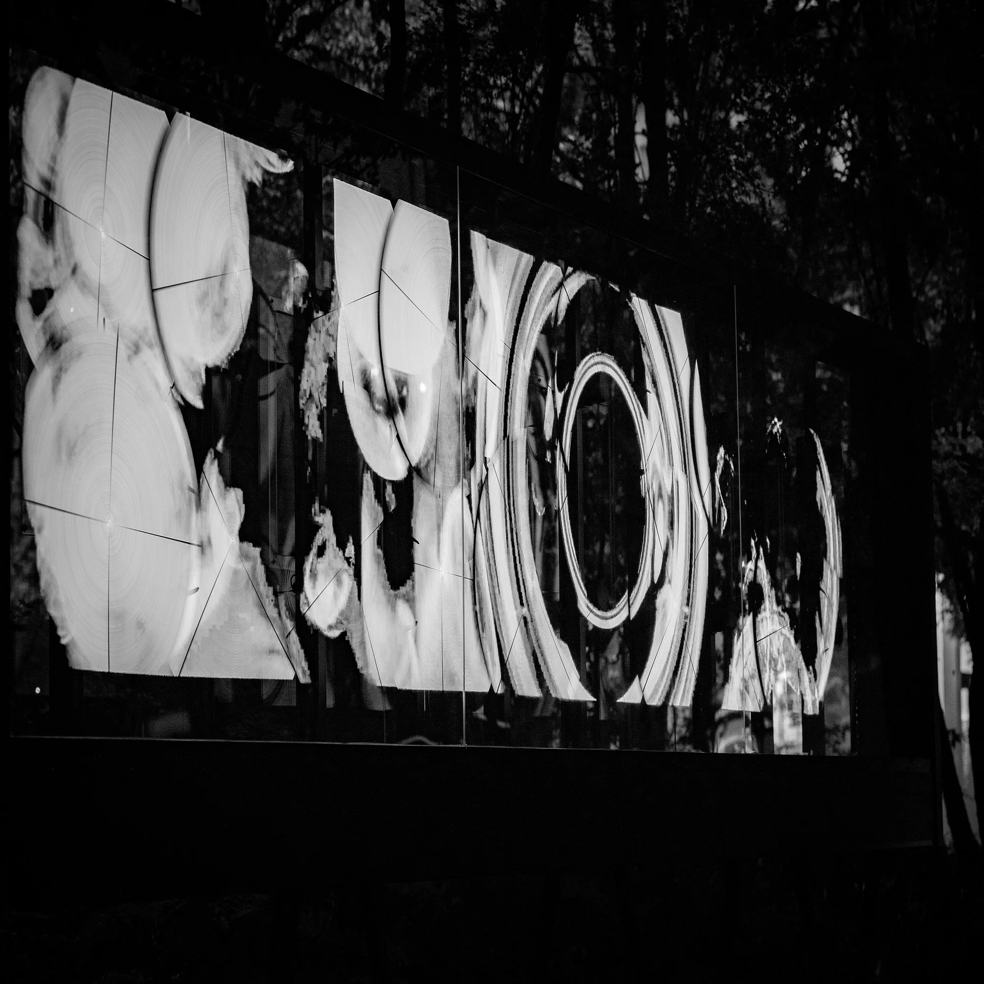 nullの木漏れ日 (大手町の森・展示は夜だけ）｜落合陽一