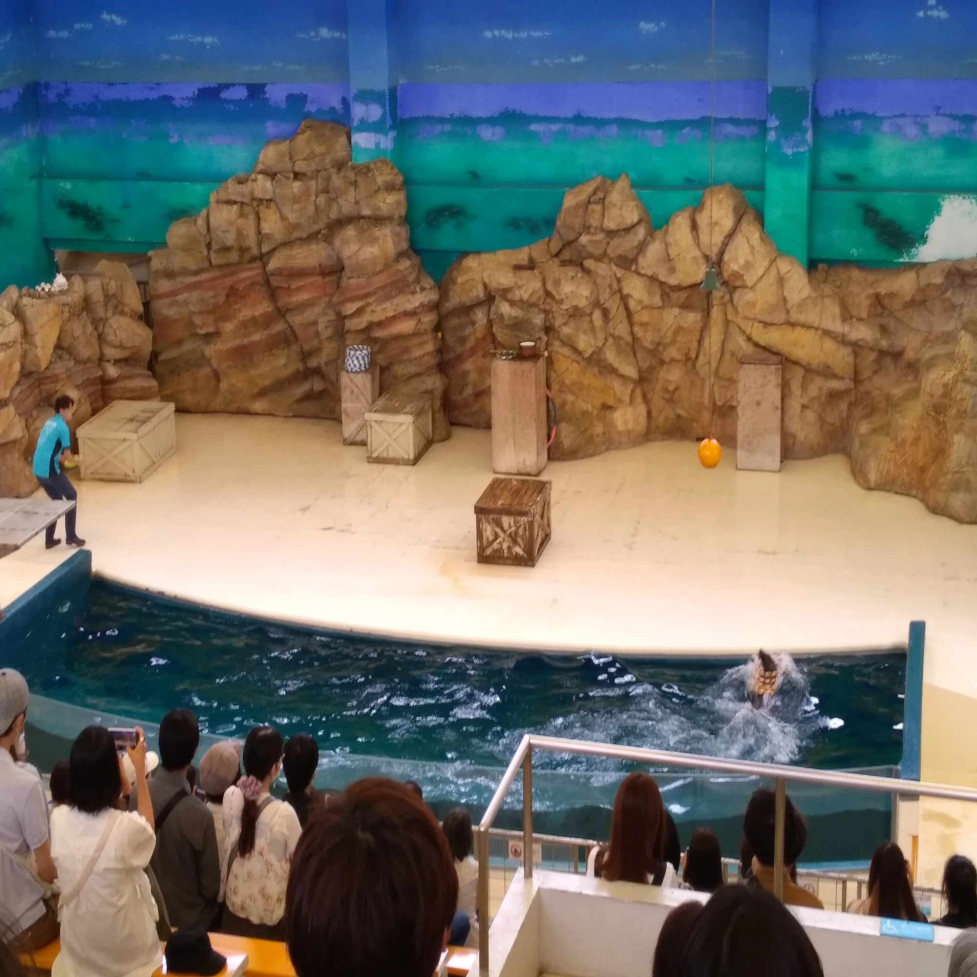 鳥羽水族館 順路のない水族館で 思いのままにはしゃぐ 成人男性オタクによる現地レポ 灰猫 Note