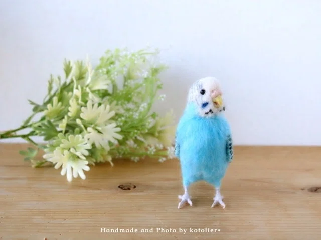 羊毛フェルト リアルなセキセイインコさん｜kotolier*コトリエの絵本の
