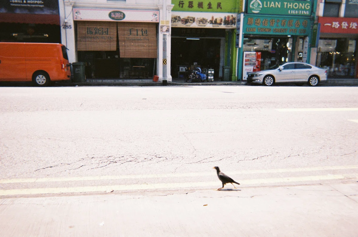写ルンです_シンガポール_