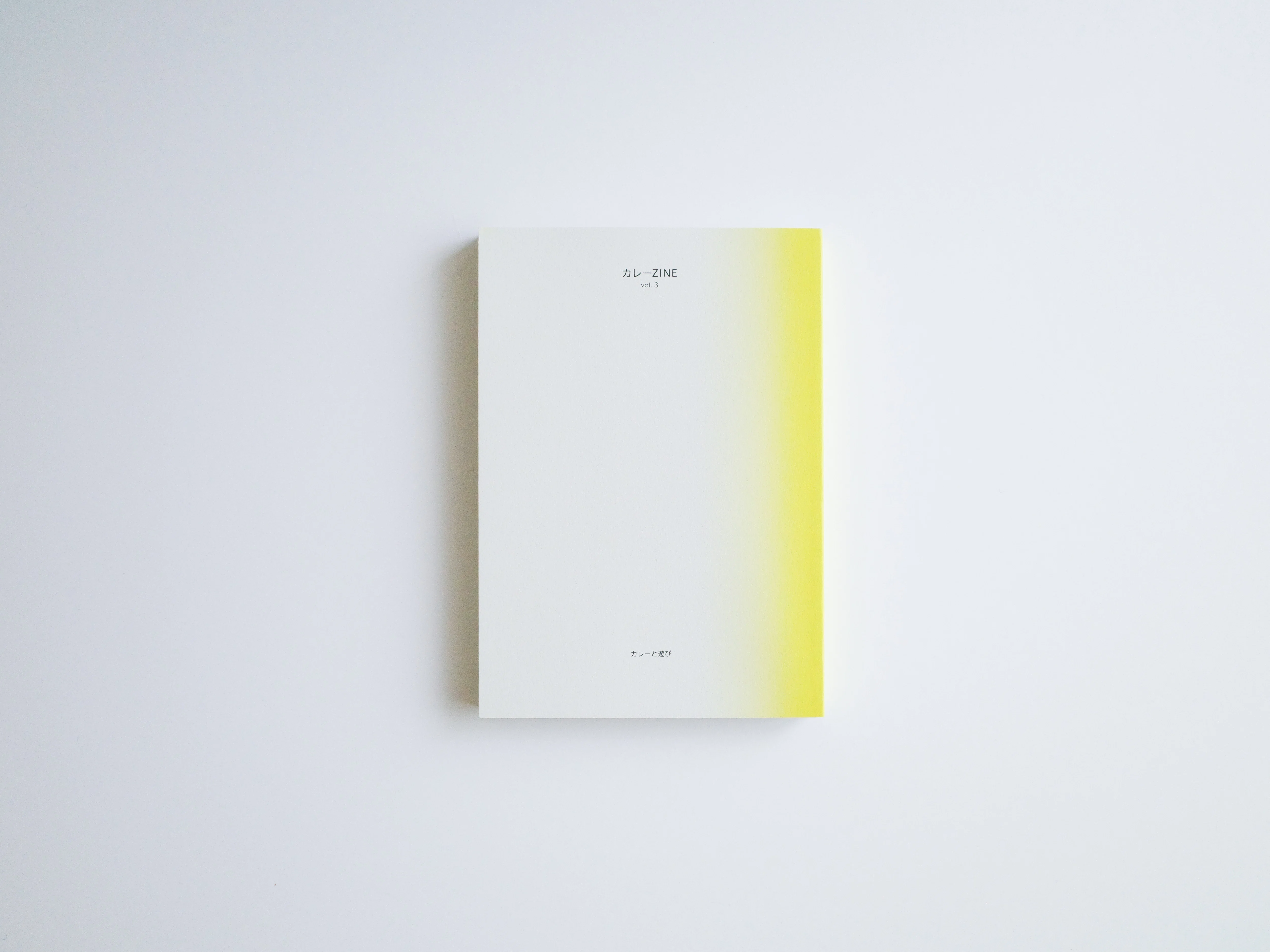 カレーZINE Vol.3「カレーと遊び」できました。 #カレーの