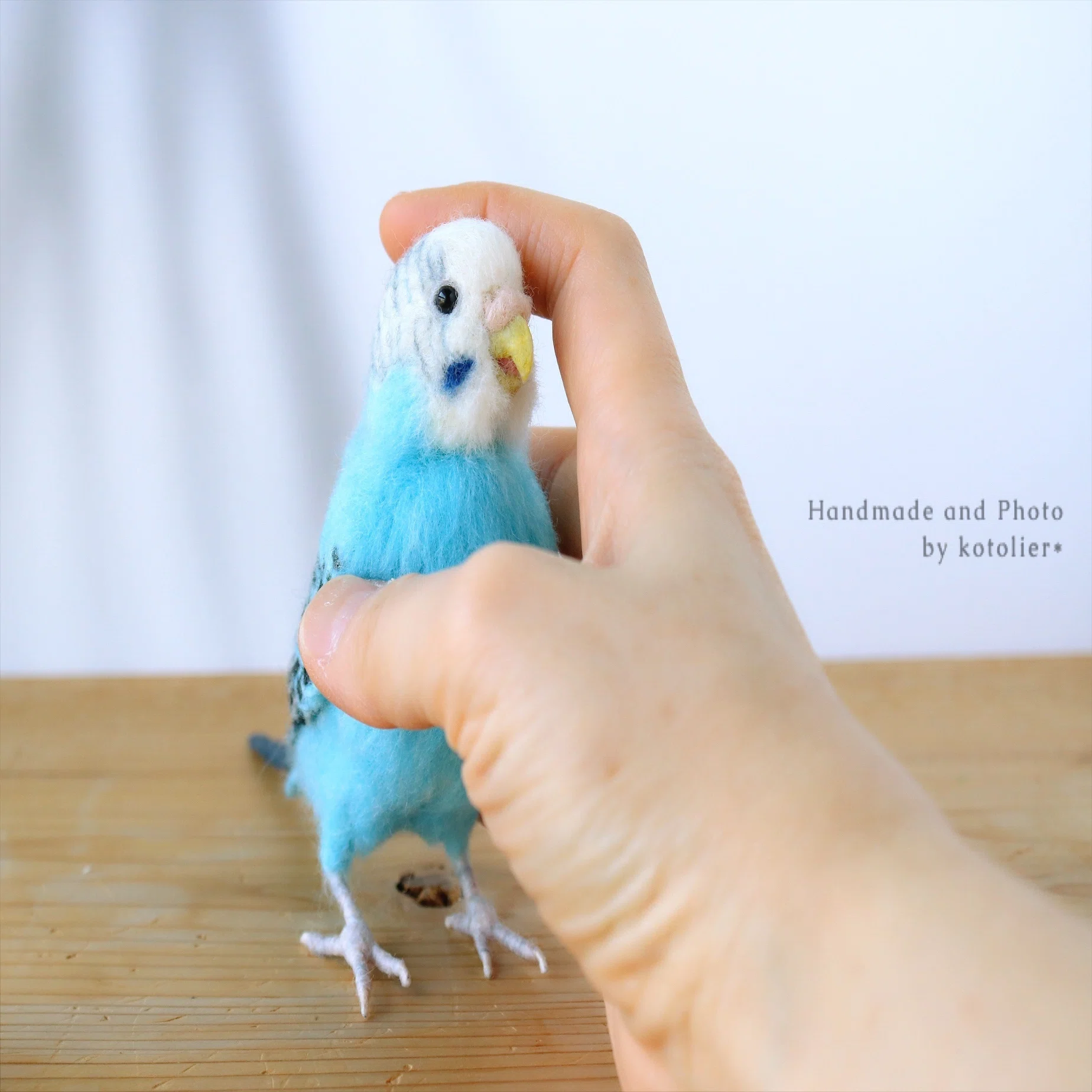 羊毛フェルト リアルなセキセイインコさん｜kotolier*コトリエの絵本の 