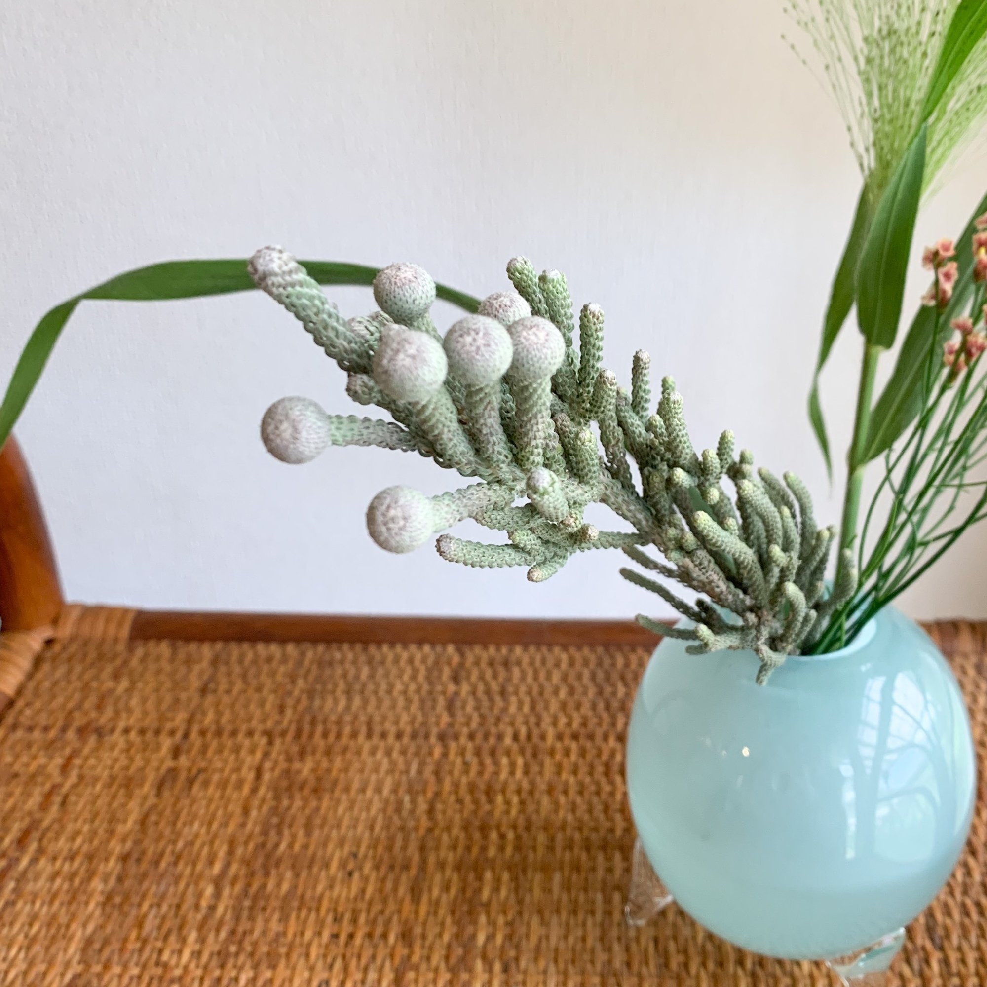 ドライフラワーにしやすいお花の定期便 ６月号 Greenpiece Note