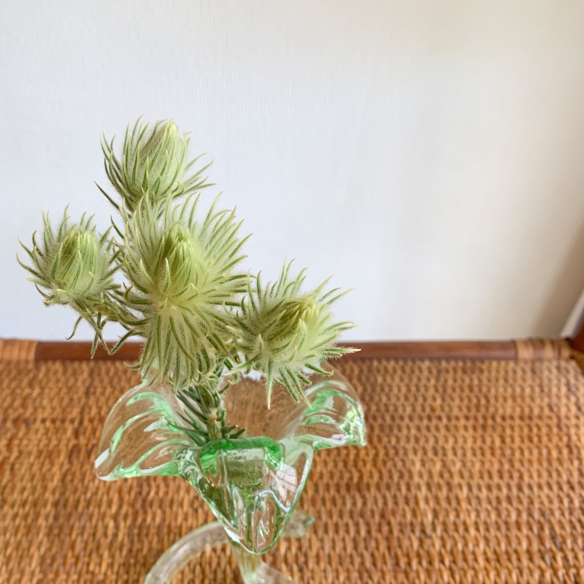 ドライフラワーにしやすいお花の定期便 6月号 Greenpiece Note ドライフラワーにしやすいお花の定期便 6月号 Greenpiece Note