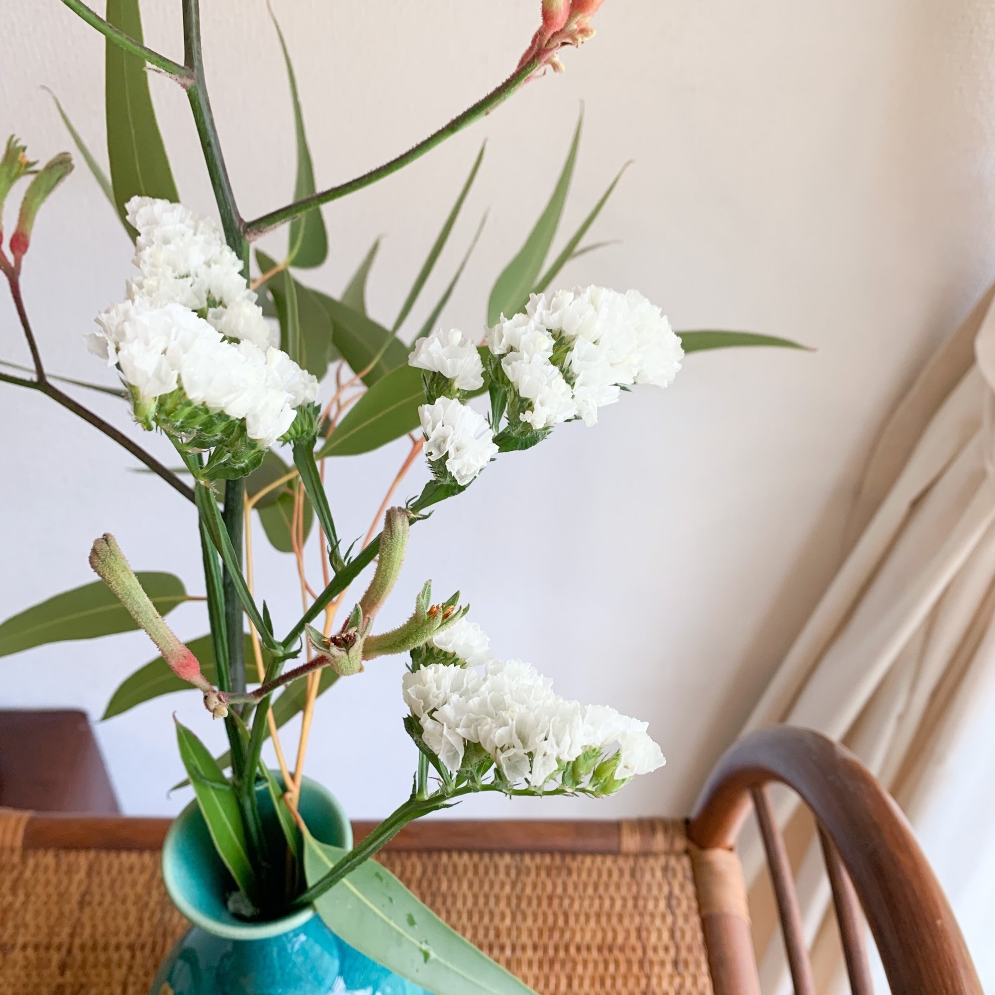 ドライフラワーにしやすいお花の定期便 6月号 Greenpiece Note ドライフラワーにしやすいお花の定期便 6月号 Greenpiece Note