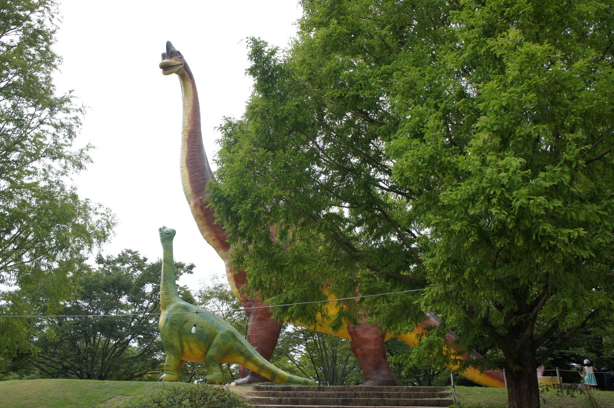 この夏 のんほいパークのポケモン化石博物館から大冒険に出発しよう 始祖鳥堂まふ M A F Note この夏 のんほいパークのポケモン化石博物館から大冒険に出発しよう 始祖鳥堂まふ M A F Note