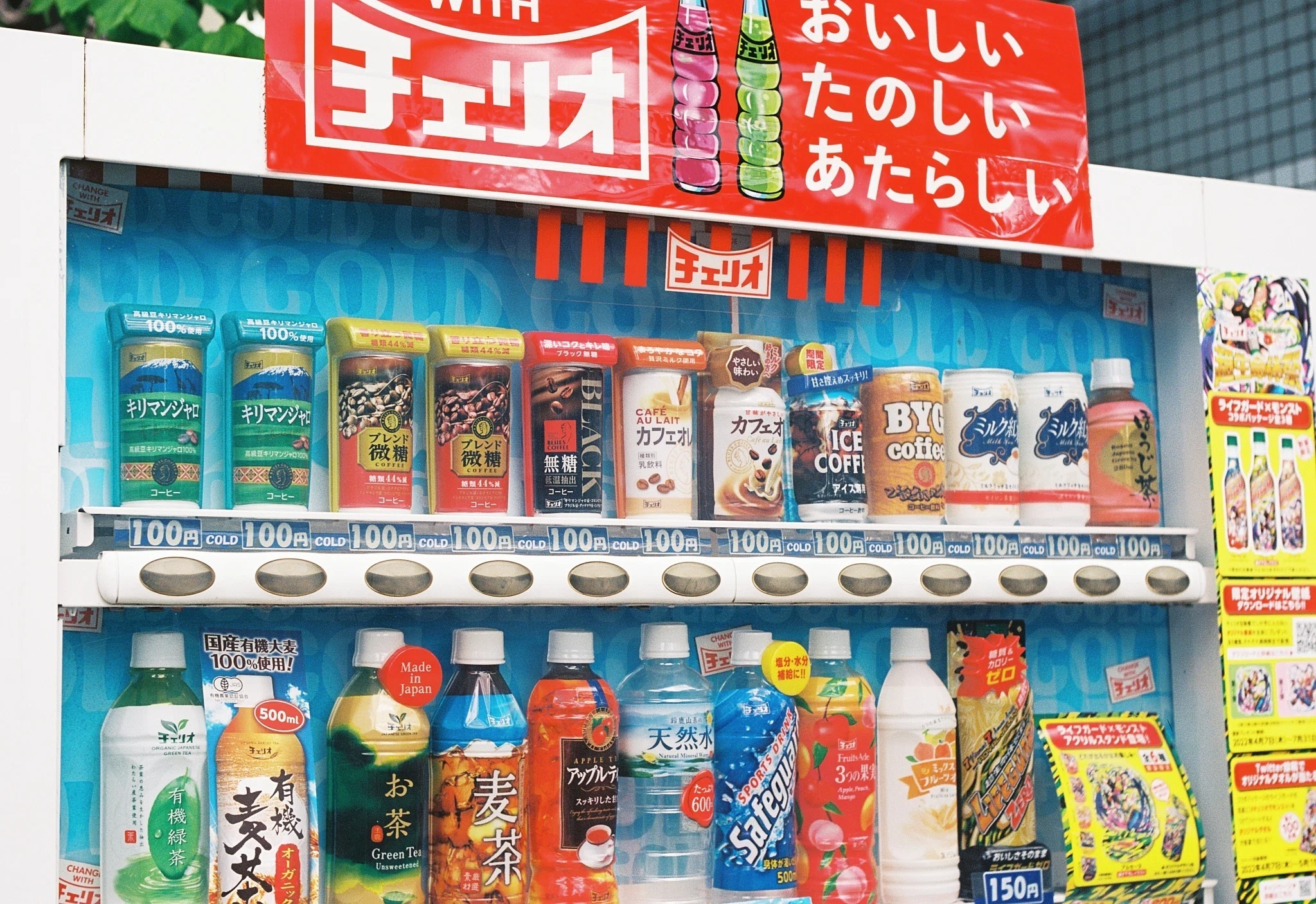 フィルム作例】赤エルマーの魅力｜朝比奈幸太郎