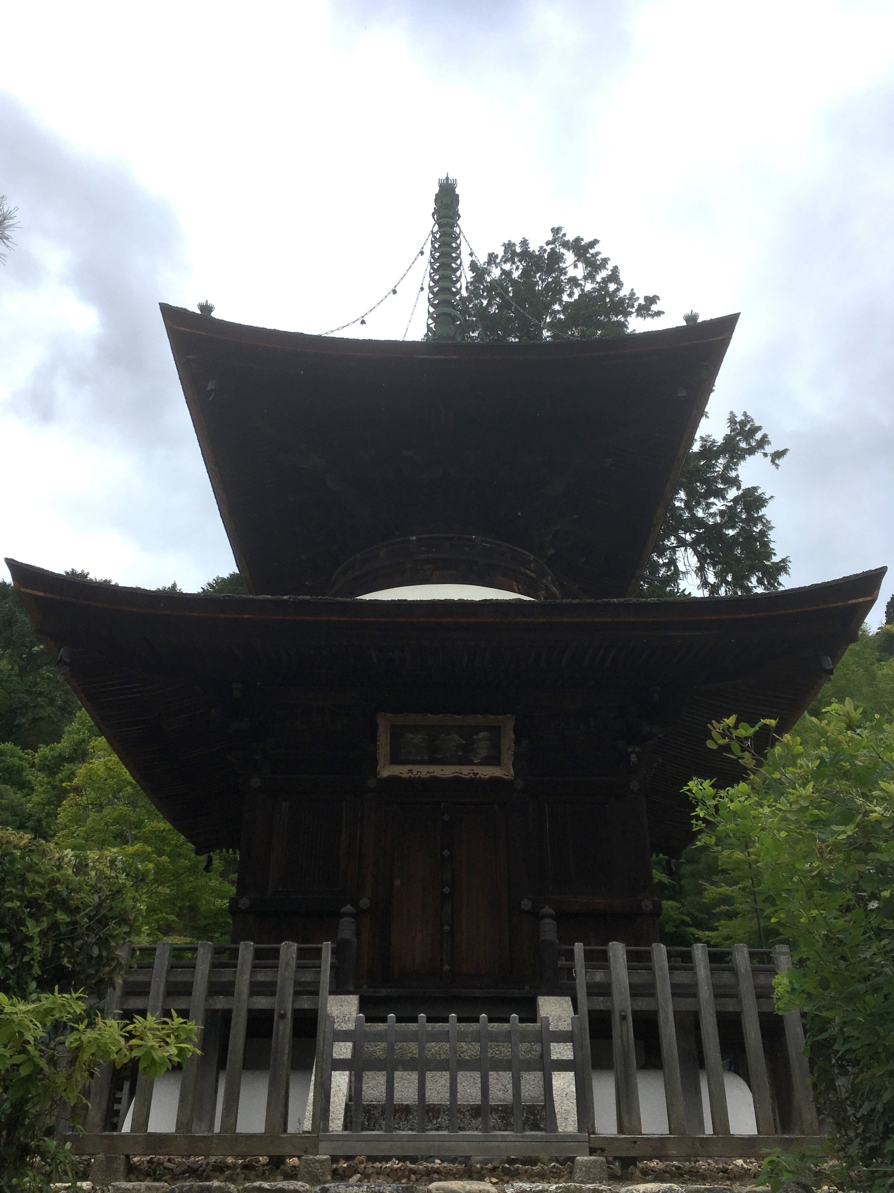 84 嵯峨野の古寺で緑の世界に浸る｜ミヤコカエデ（Miyako Kaede)