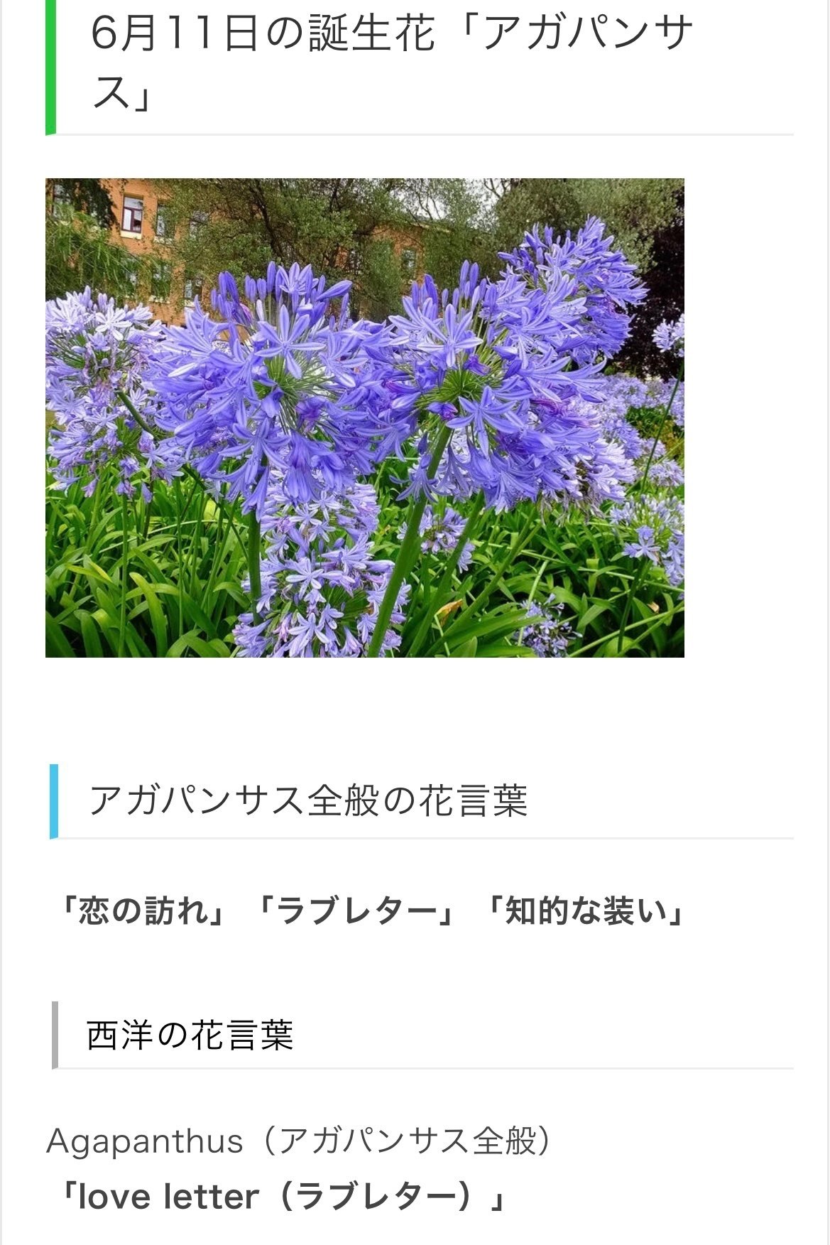 6月11日生まれのあなたへ Chiyo Note