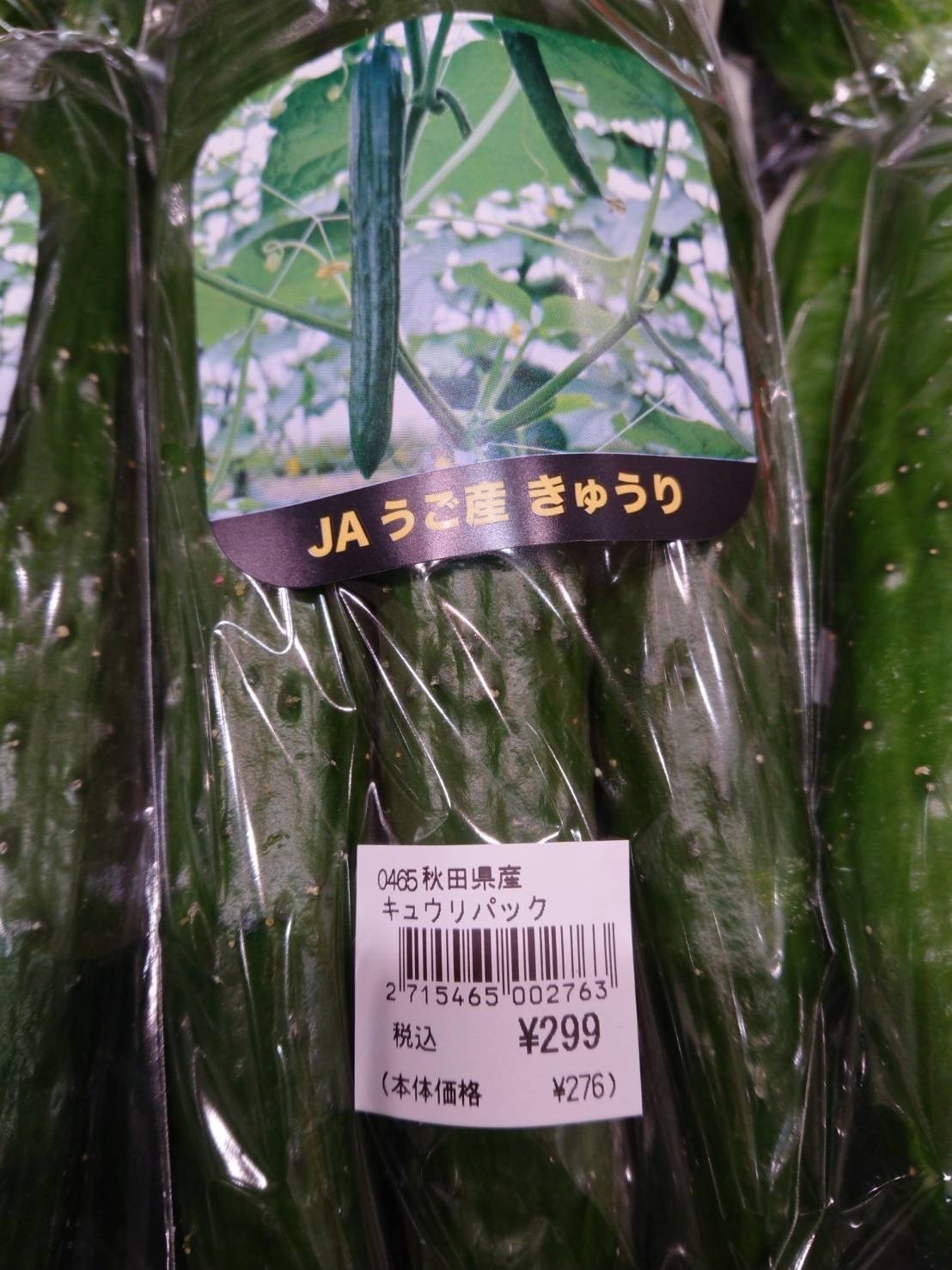 至宝の逸品「JAうご産きゅうり」｜JAうご公式note【なぇんもねんしども】