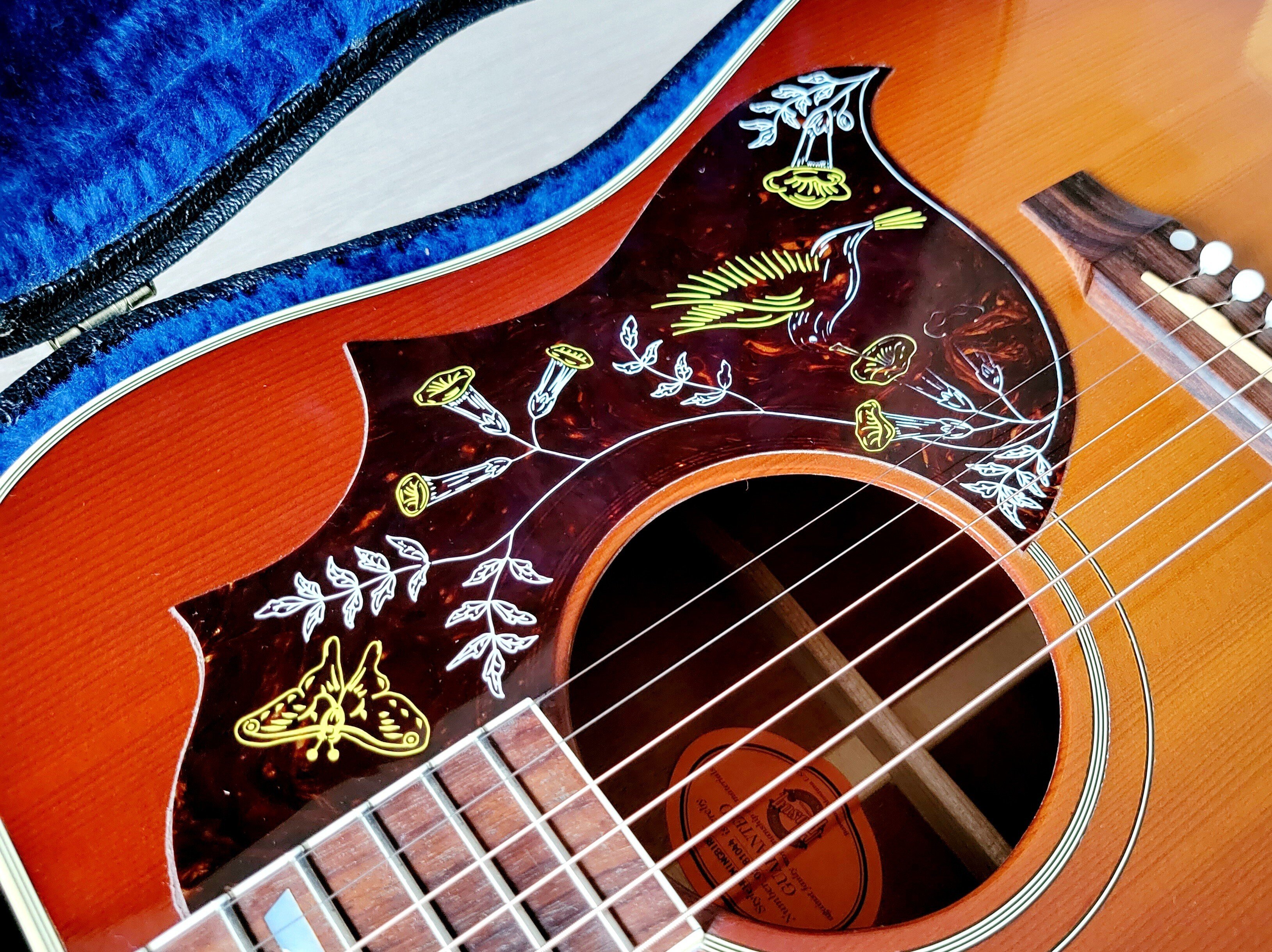 ほしかったギター 〜Gibson Hummingbird(2001年)｜Yukihiro🧸