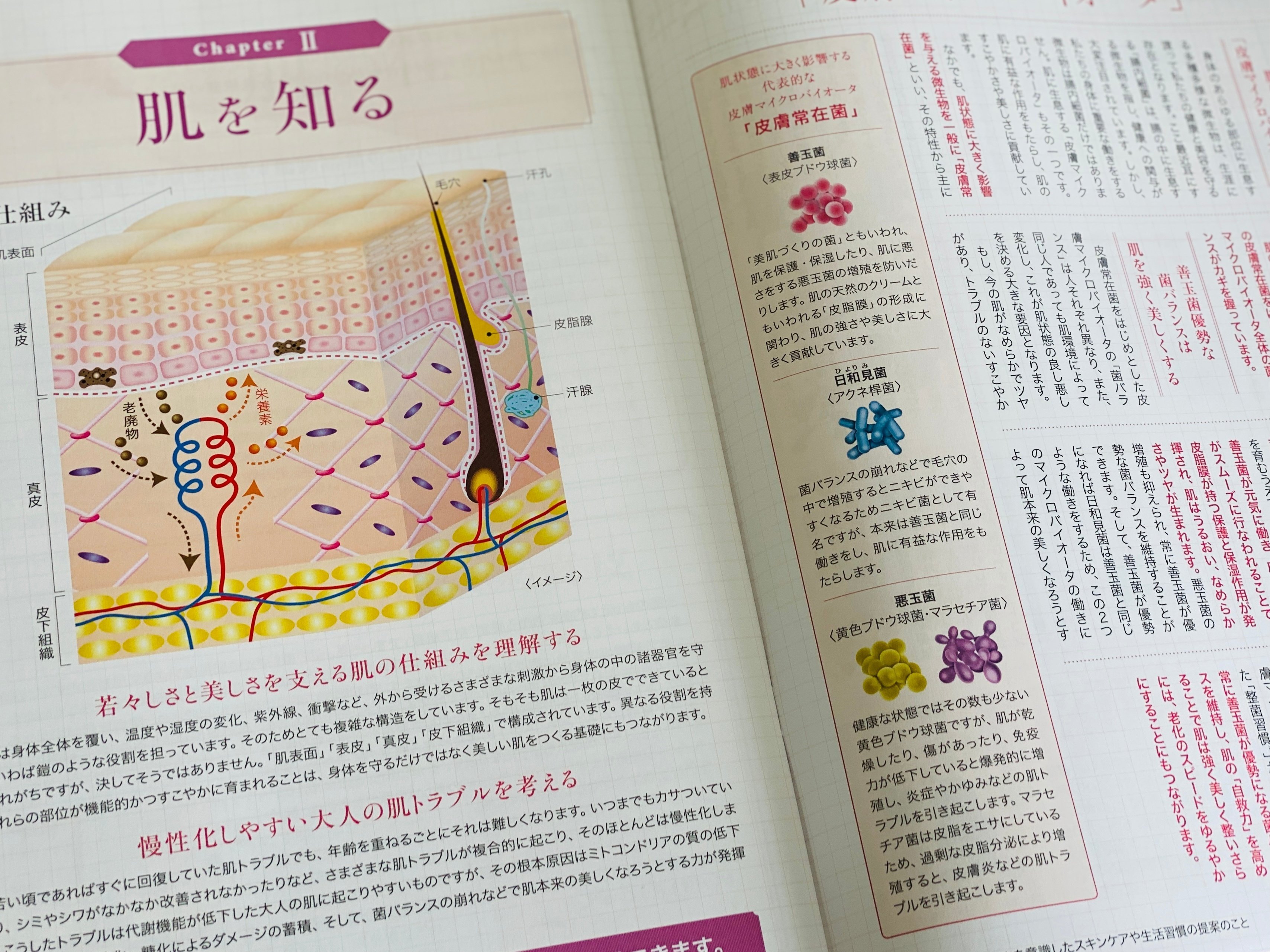 口コミ評判】ニナファーム バイオシールドミストウォーターって