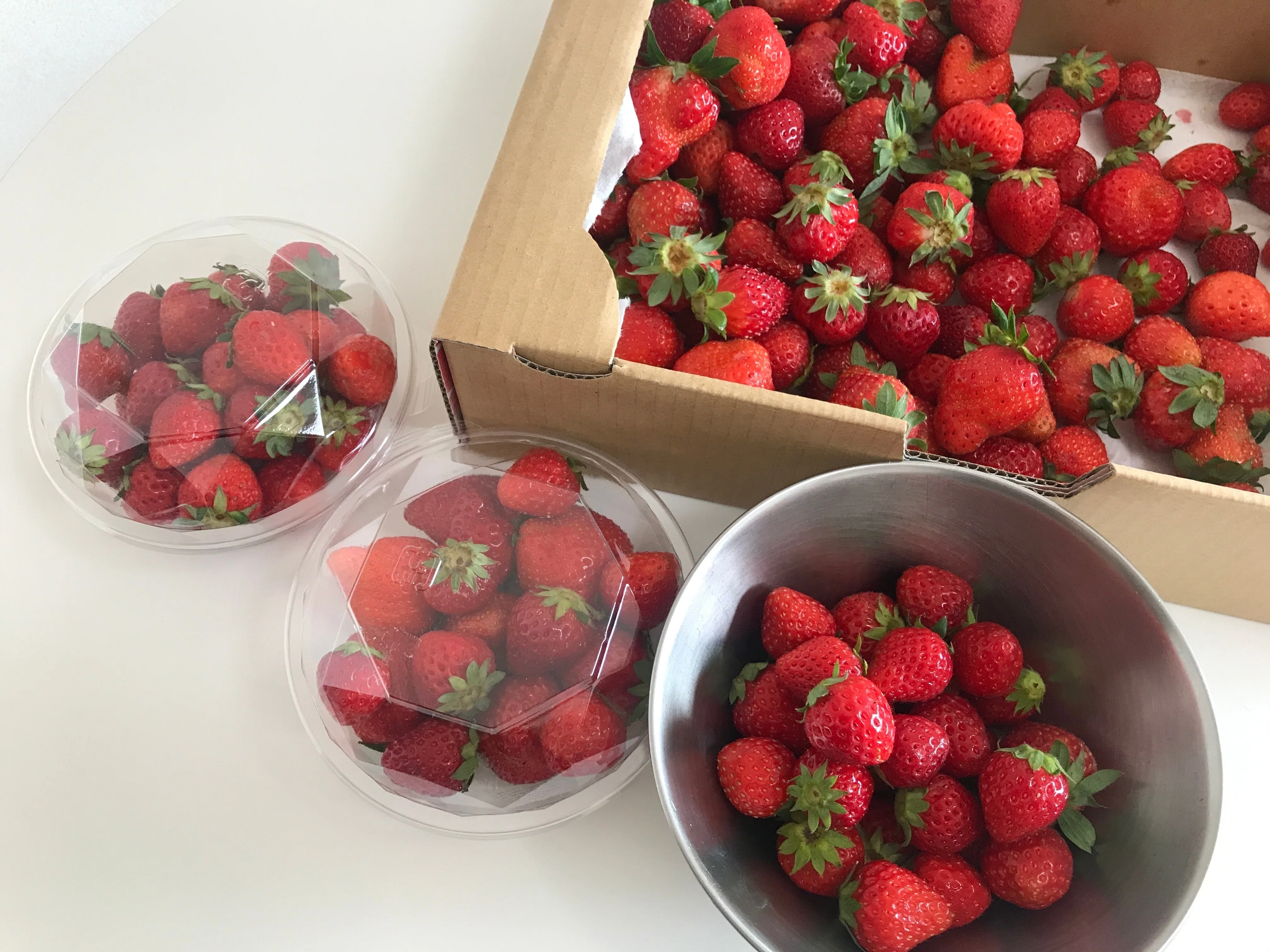 Enjoying the end of strawberry season❤︎｜ノーザンアルプスヴィン