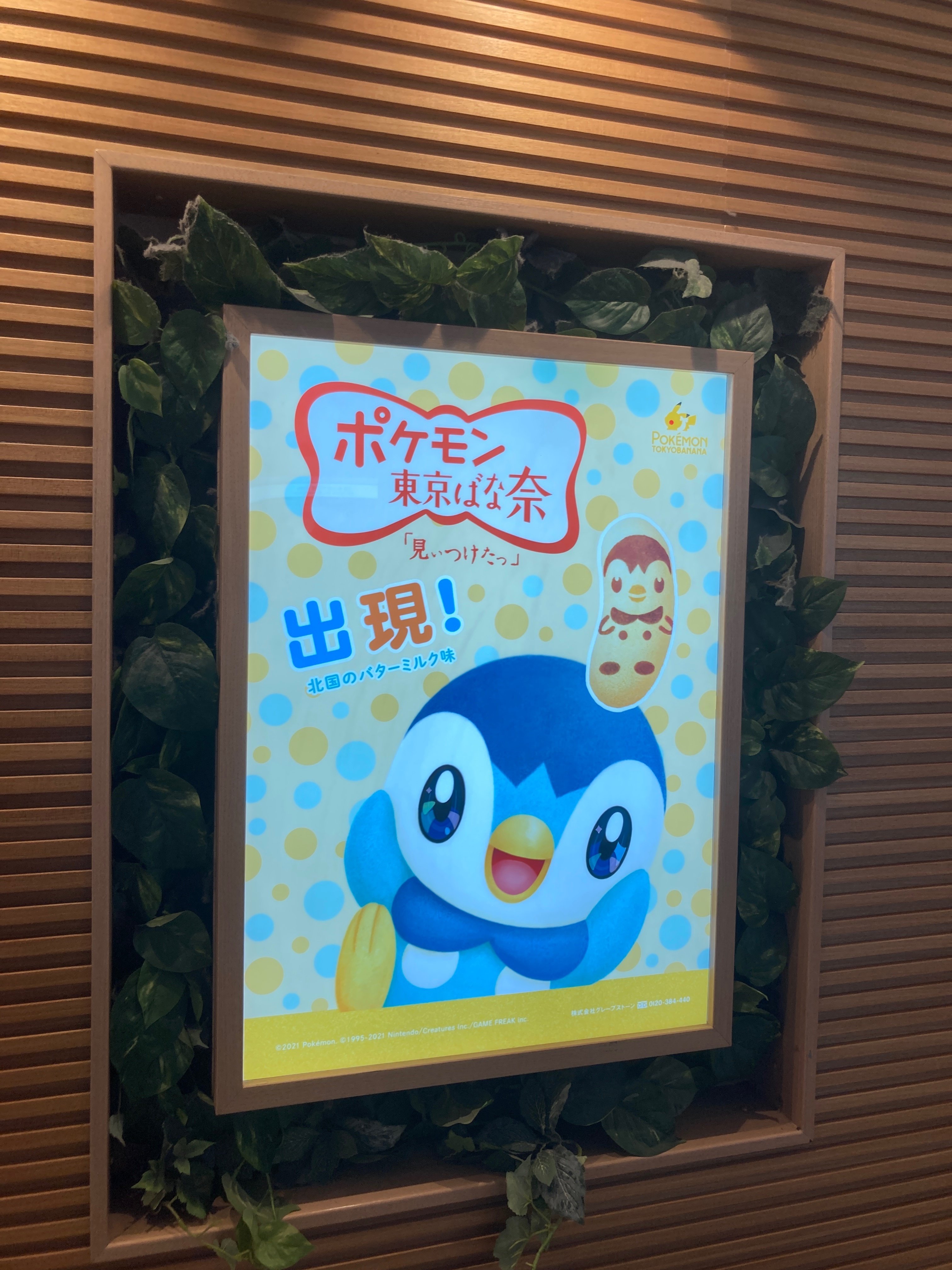 ポッチャマ 声優】ポッチャマ] - 任天堂大辞典iki | Nintendo iki