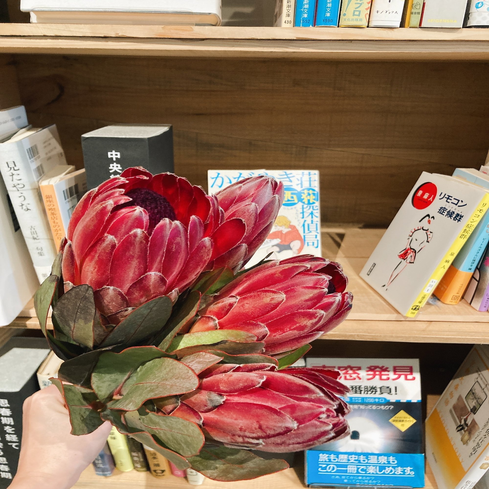 家にある花で簡単にできる ロスフラワーを使ったものづくり カボニュー 地球にいいことが見つかる場所
