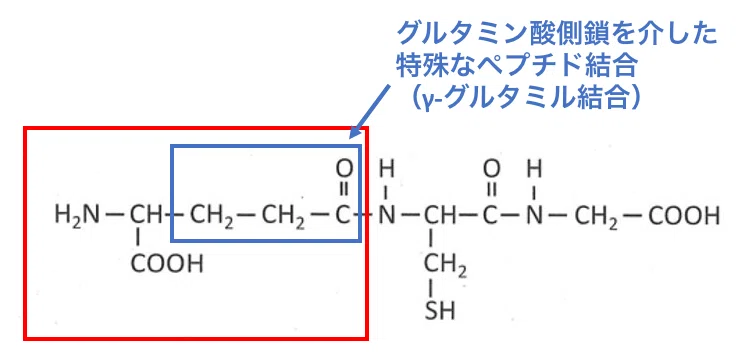 過去問解答】筑波大学医学部編入試験【数学・化学・英語】｜kamo