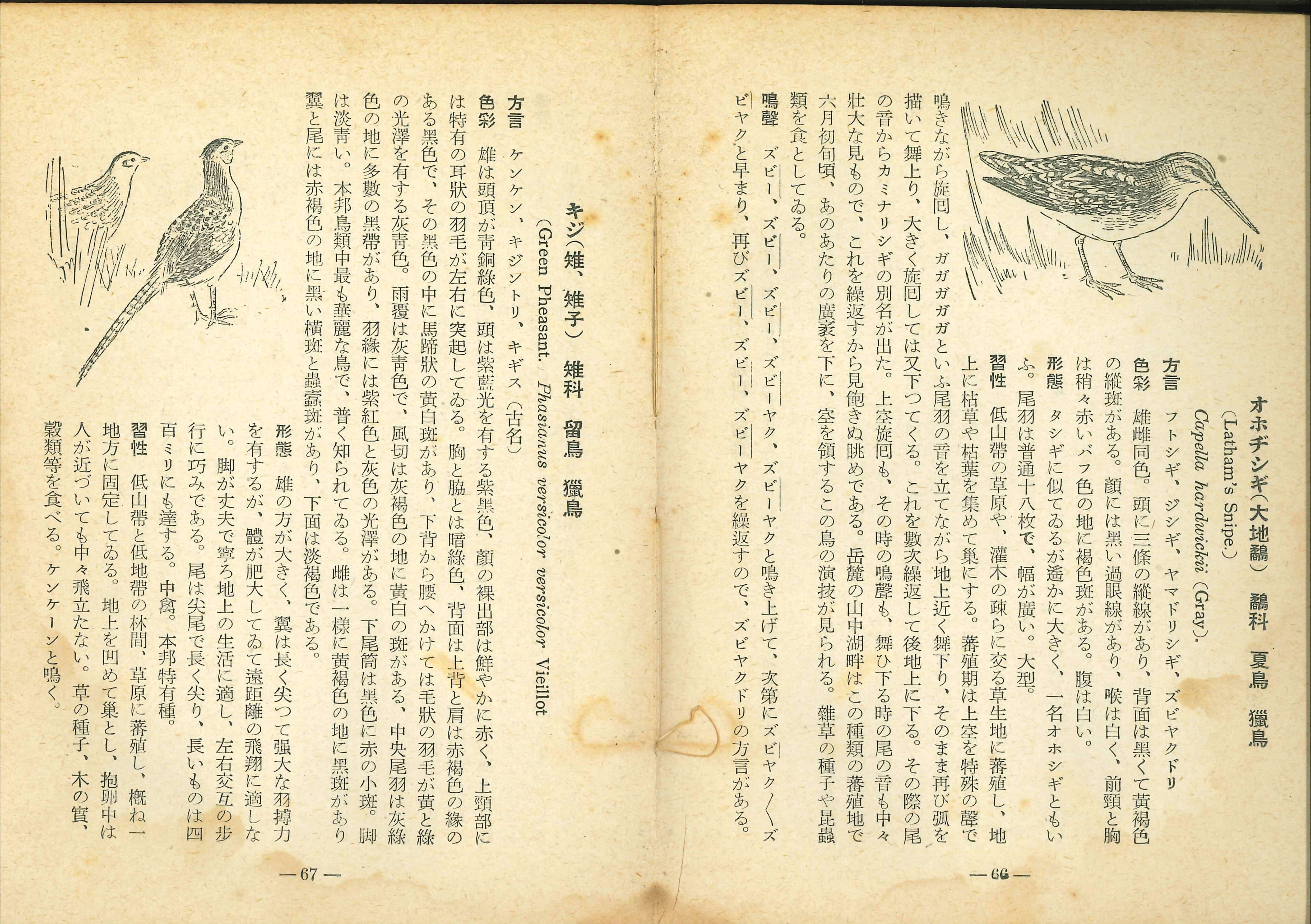 定本 野鳥記（全16巻揃） 中西悟堂 春秋社 | ファーイースタン