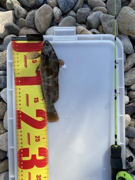 穴釣りのススメ 大物に出会えるかも 初心者でも簡単に大物が釣れる秘密の釣法 魚もカニも 時には信じられない高級生物も釣れる 龍キング 釣り Note