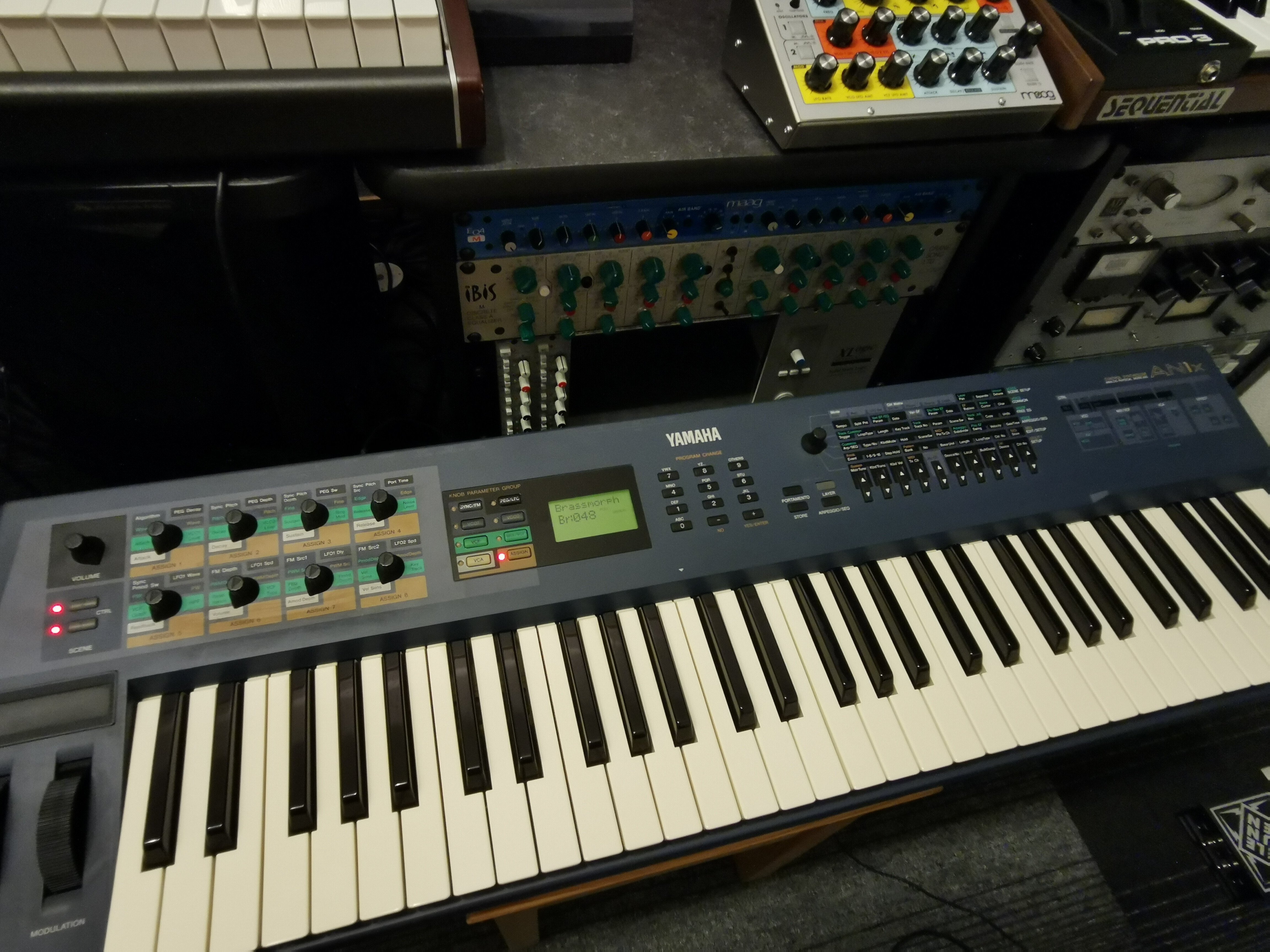 YAMAHA AN1x|成田玲 (Rei Narita)