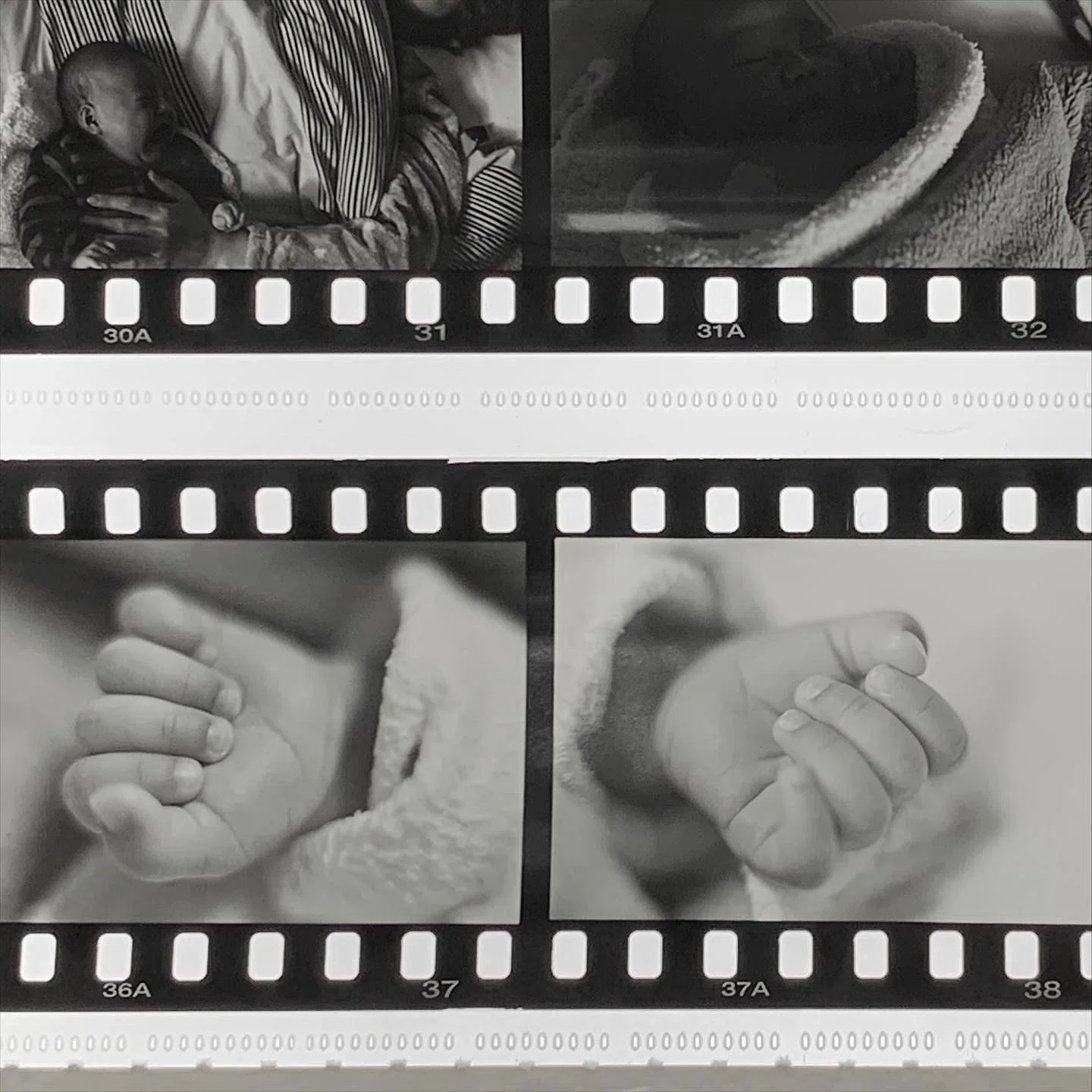 Adox Scala 160 白黒リバーサルフィルム｜Tashinchu