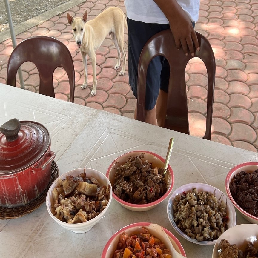 犬と暮らし 犬を食べる 鈴木暁子akikosuzuki Note