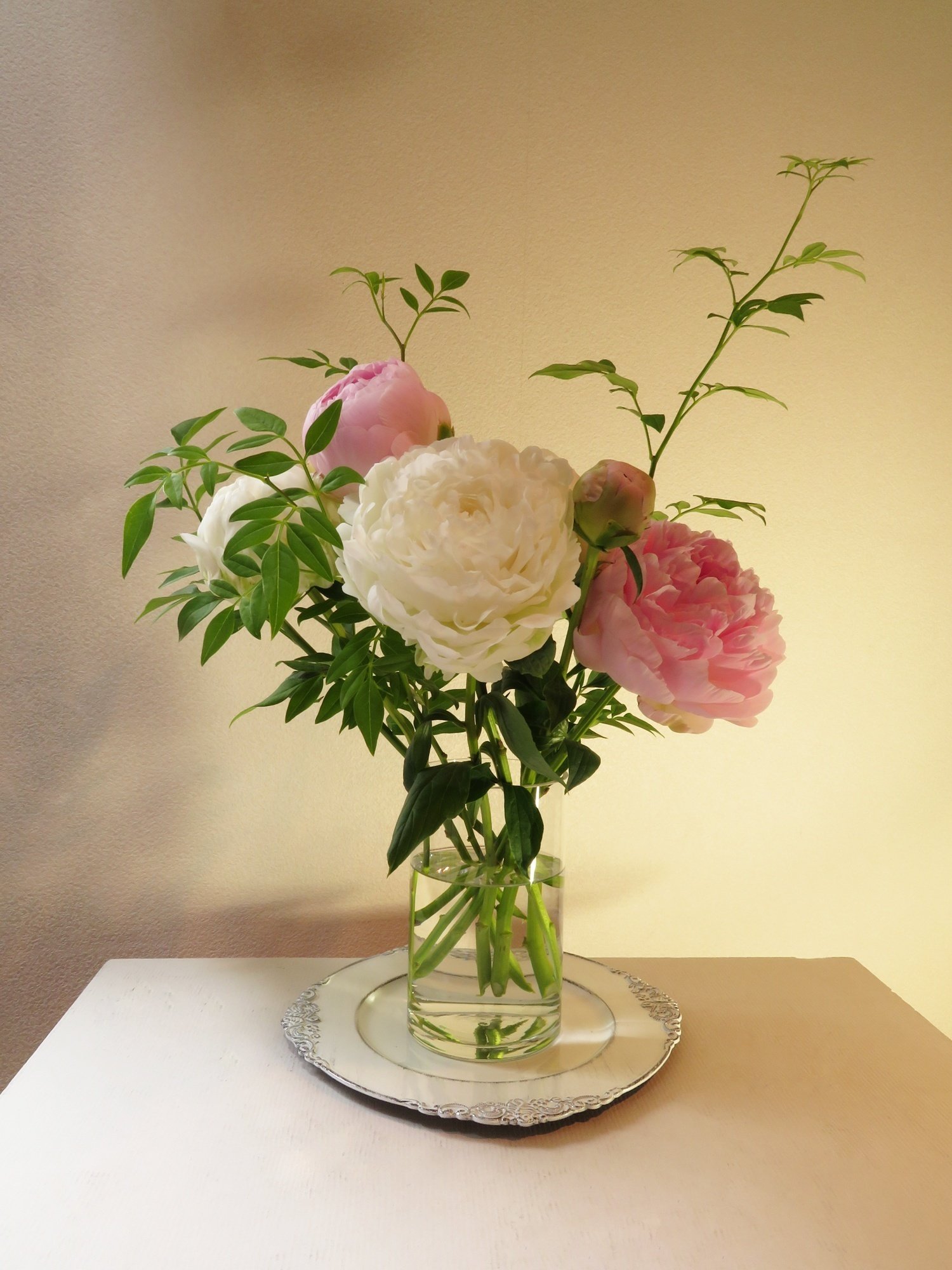 北魚沼の芍薬 かぐや姫 と 白雪姫 花と日々 Yas Note 北魚沼の芍薬 かぐや姫 と 白雪姫 花と日々 Yas Note