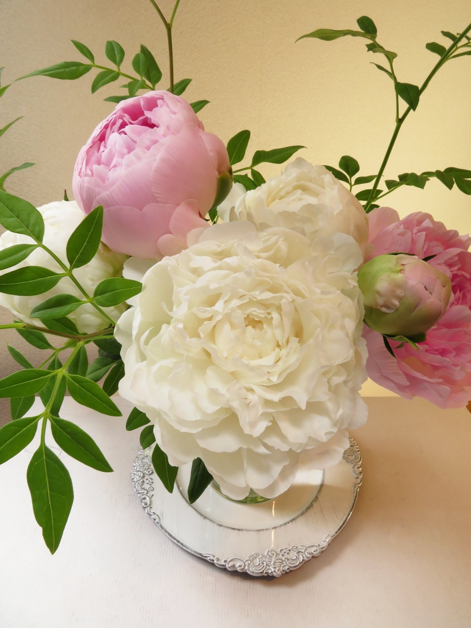 北魚沼の芍薬「かぐや姫」と「白雪姫」｜花と日々 yas