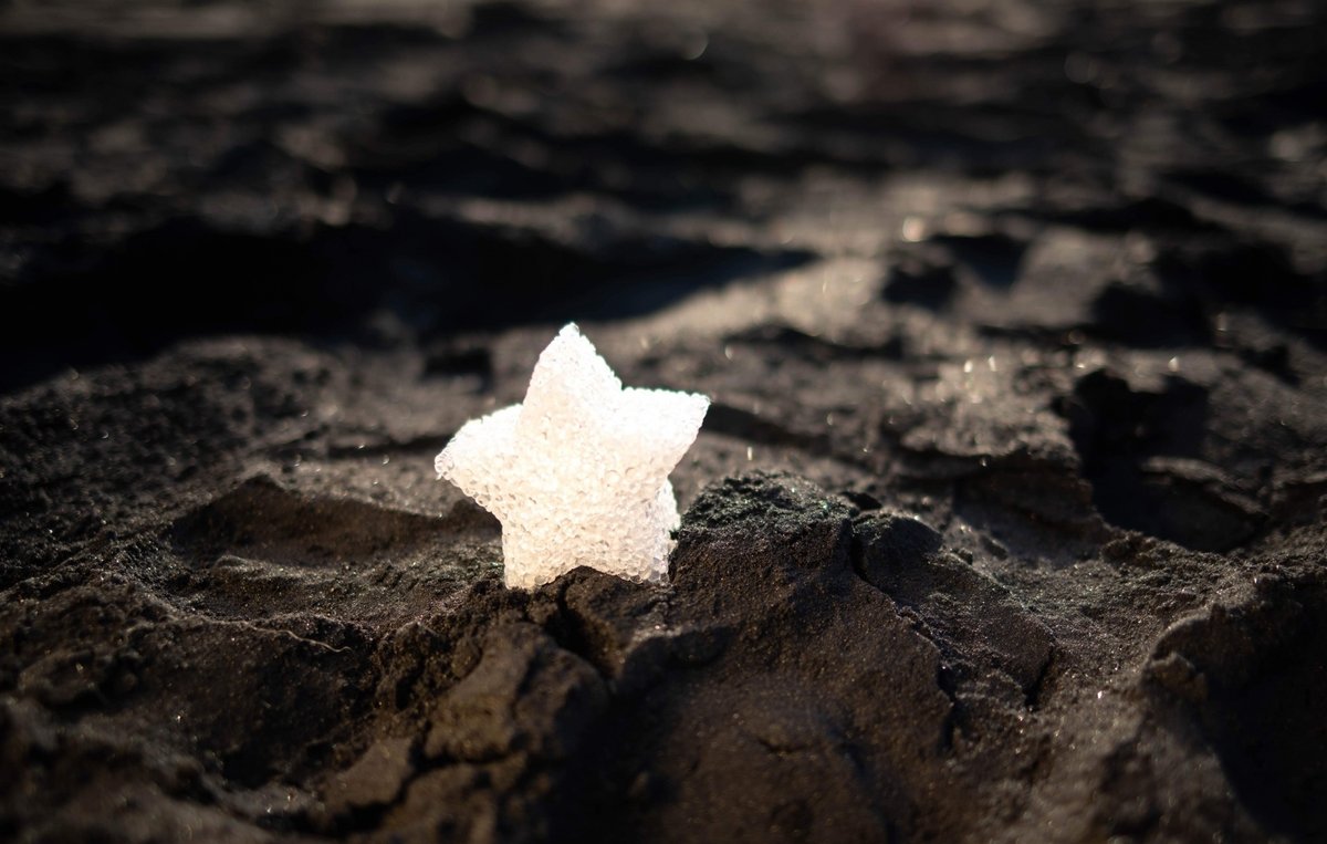 砂の上に小さく輝く星一つ
