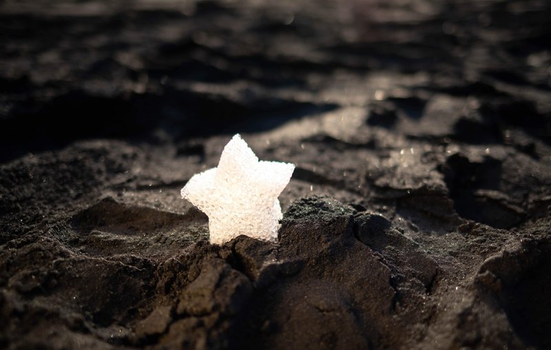砂の上に小さく輝く星一つ
