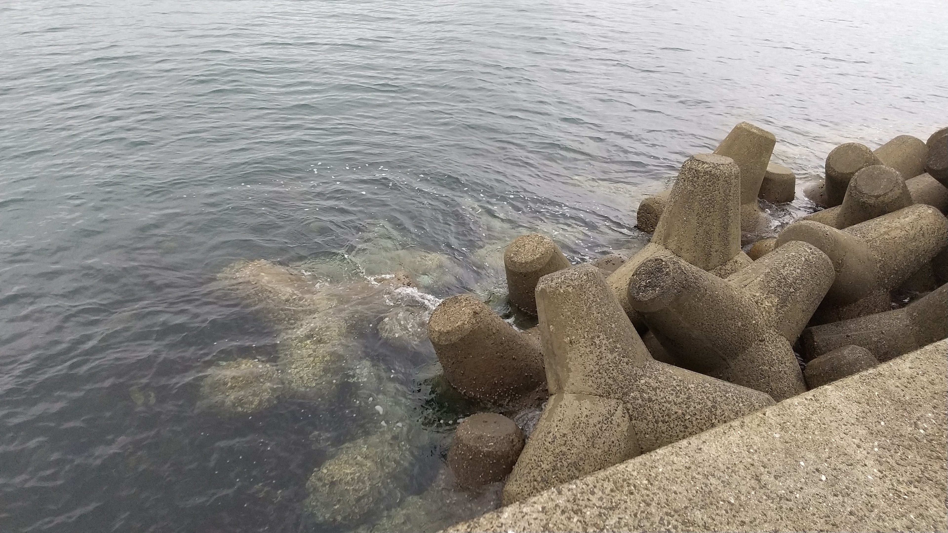 穴釣りのススメ！！大物に出会えるかも！？初心者でも簡単に大物が釣れる秘密の釣法！！！魚もカニも、時には信じられない高級生物も釣れる！？｜龍キング（釣り）