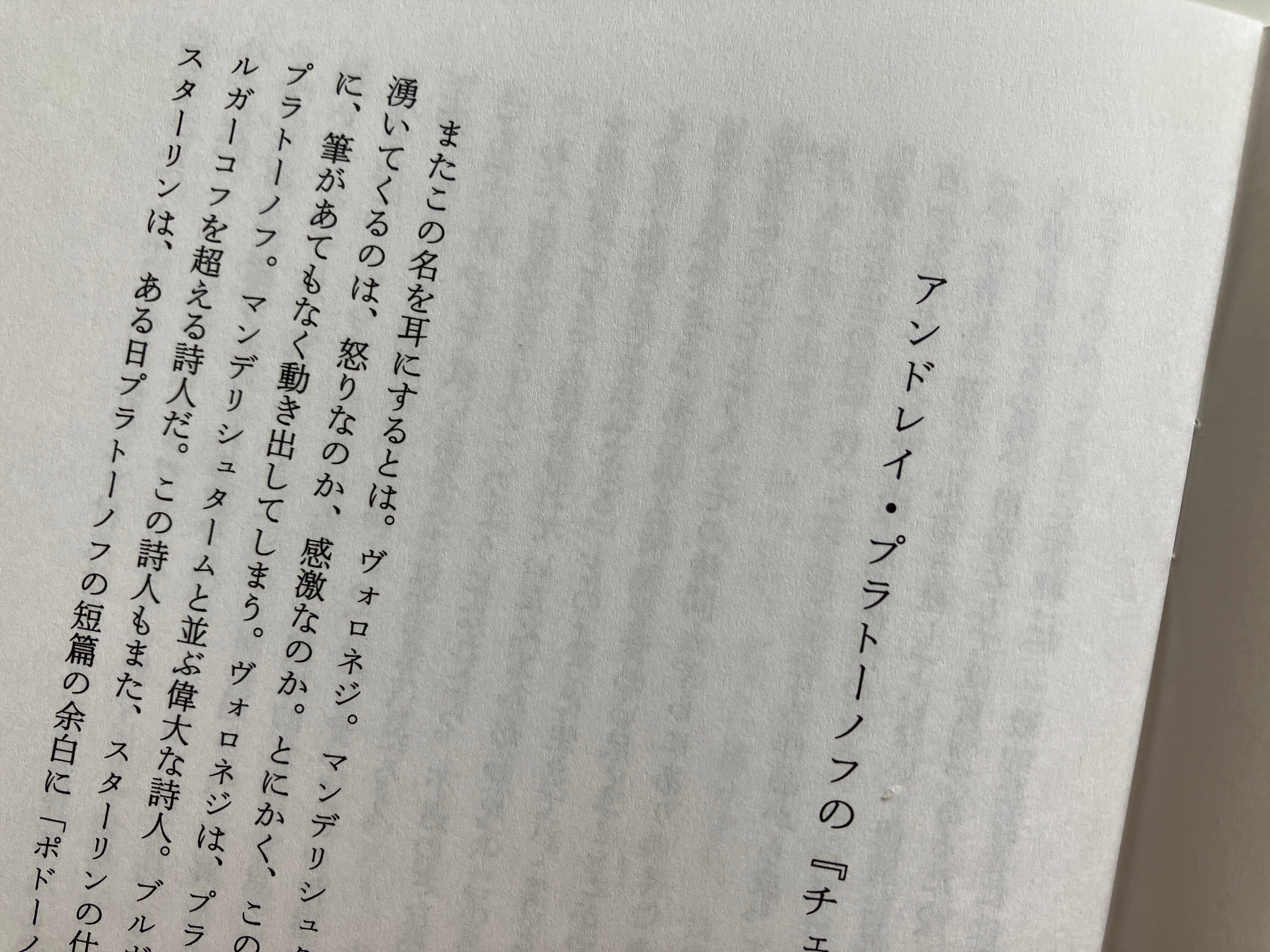 日本語版『チェヴェングール』拾遺（装幀と付録の話など）｜工藤順