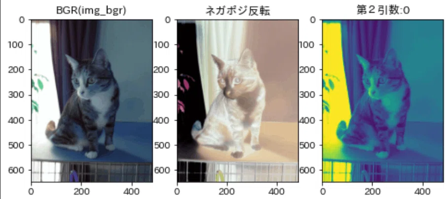 画像
