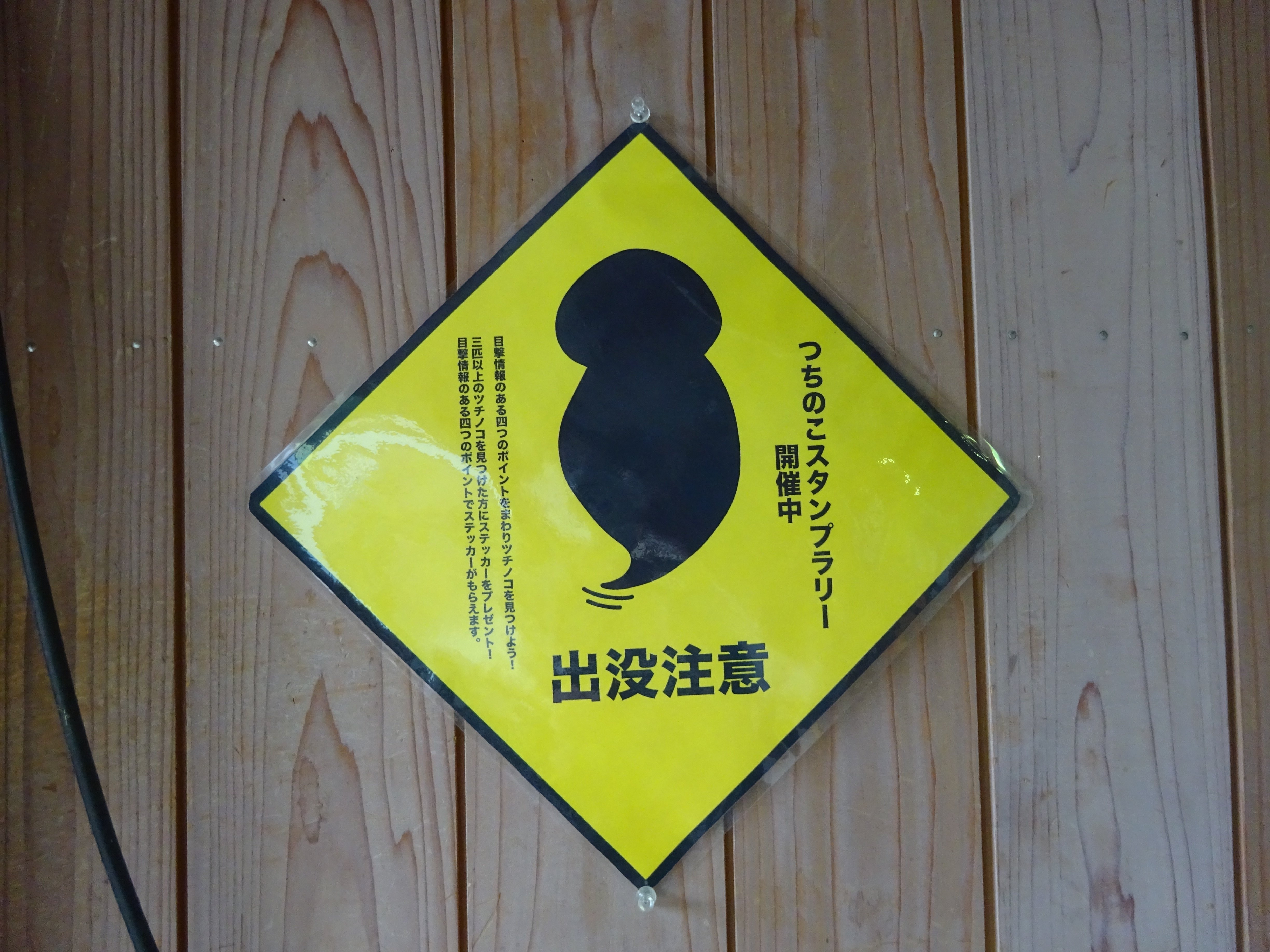 写真日記】謎の未確認生物ツチノコを探し求めてin岐阜県東白川村①