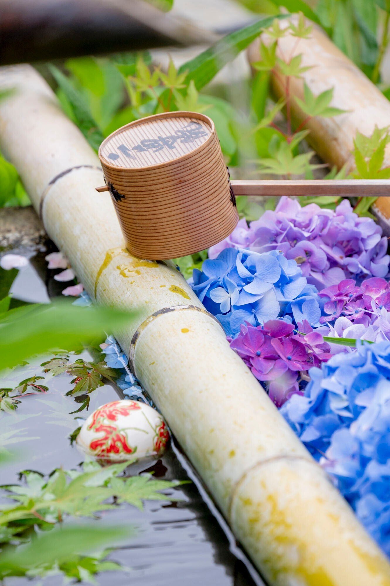 あたらしい日常 の採集 13 花手水 ぷらいまり Note あたらしい日常 の採集 13 花手水 ぷらいまり Note