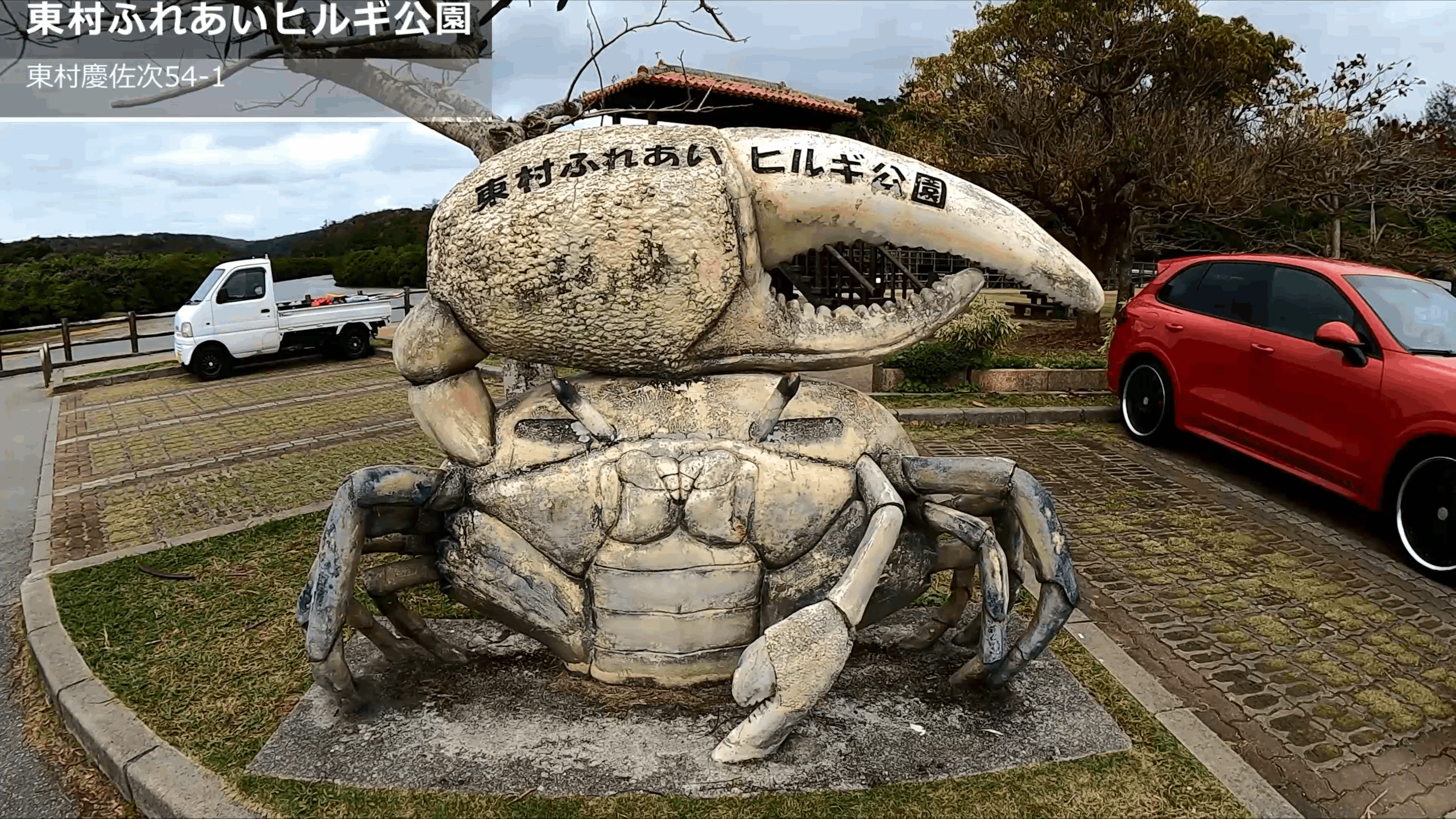 貴重なマングローブ林：東村ふれあいヒルギ公園【沖縄やんばる世界遺産
