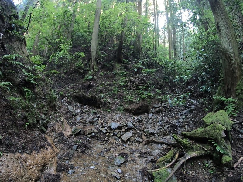 右沢・左沢分岐ポイントを上流方向