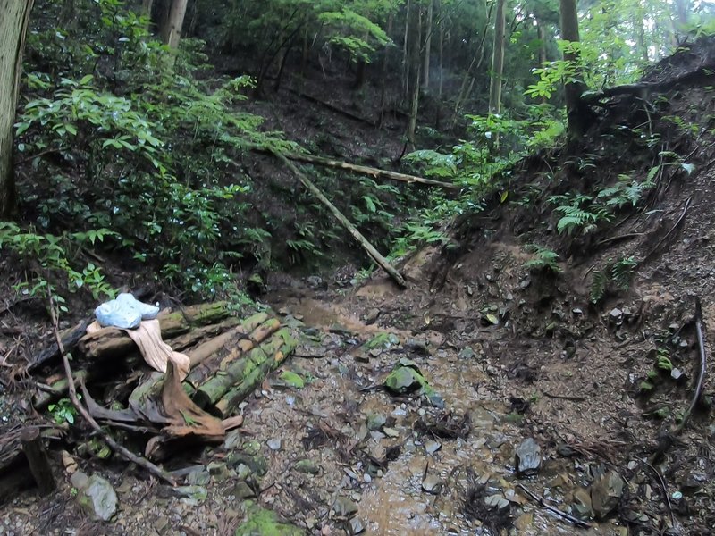 分岐ポイントから下流方向