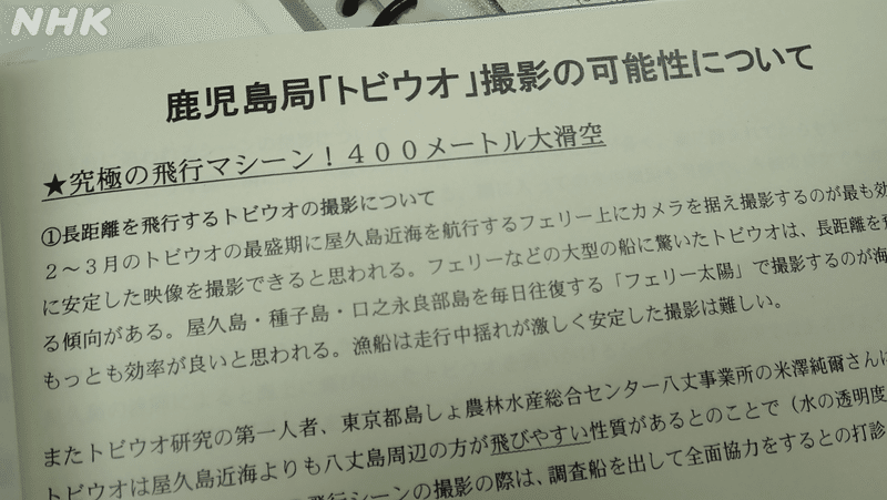 画像　トビウオの資料