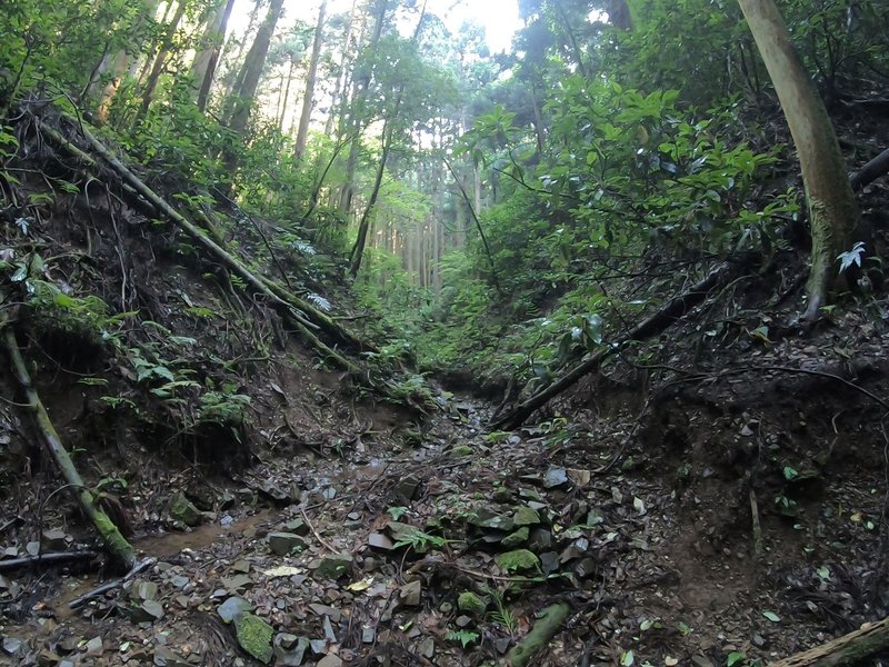 一ノ沢分岐からニノ沢・三ノ沢上流方向