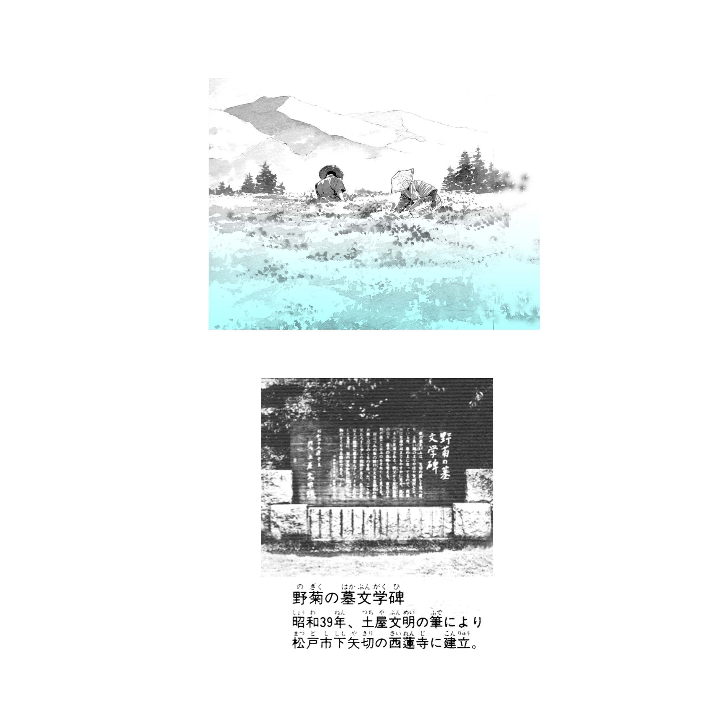 漫画『野菊の墓』（伊藤左千夫）｜kaze