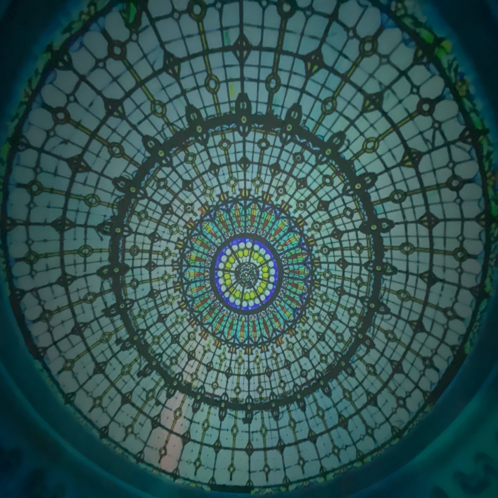 サガリバナの花言葉 井上泉 香草スタイル Note