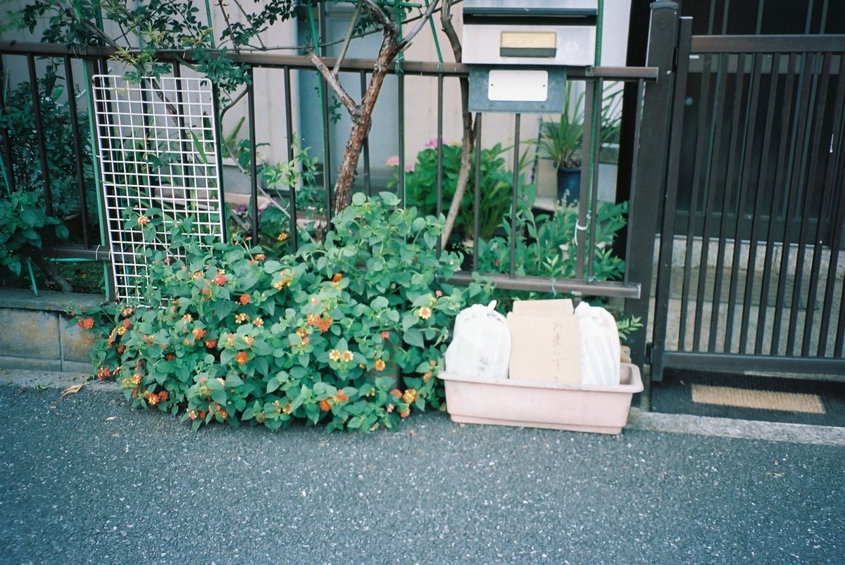 「ご自由にお持ちください」ボックスのフィルム写真。