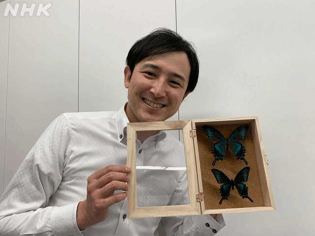画像　蝶の標本を持つ宮﨑アナウンサー