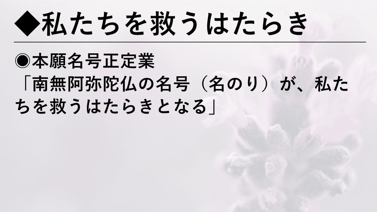 正信偈を学ぶ】第29回_本願名号正定業 至心信楽願為因_いただい