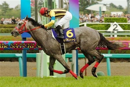【期限切れ単複馬券】　2歳未勝利　2014/11/8 ドゥラメンテ　ウマ娘 2025 2-year-old horses to watch] Appear again this year! Two