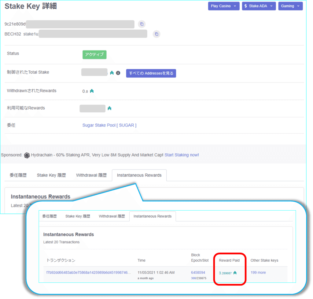 Cardanoのガバナンス ~ 投票することで報酬がもらえる背景｜[SUGAR] Cardano Stake Pool Operator